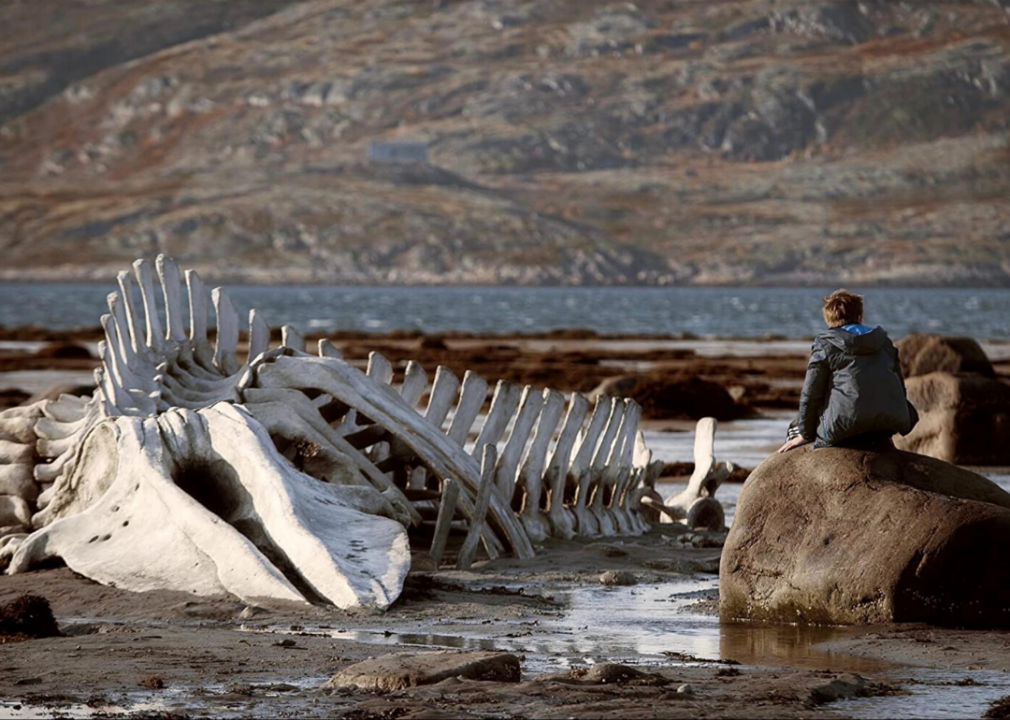 #60. Leviathan (2014)
